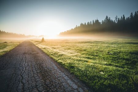 Idyllic misty pasture in the sunlight. Locations place Durmitor National park, village Zabljak, Montenegro, Balkans, Europe. Scenic image of the morning alpine valley. Discover the beauty of earth. の写真素材