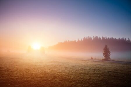 Idyllic misty pasture in the sunlight. Locations place Durmitor National park, village Zabljak, Montenegro, Balkans, Europe. Scenic image of the morning alpine valley. Discover the beauty of earth. の写真素材