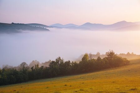 Great alpine highlands in sunny day. Location Carpathian mountains, Ukraine, Europe. Picture of a rustic area. Scenic image of hiking concept. Attractive summer landscape. Explore the beauty of earth.の写真素材