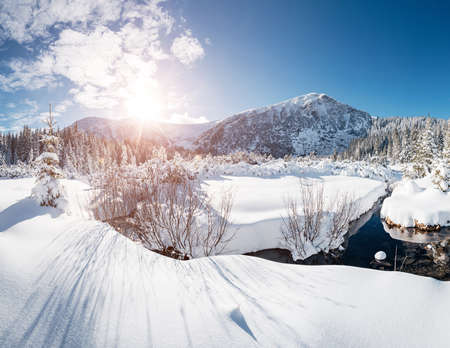 Snowy landscape on a frosty day, frozen trees in winter mountains. Location place of Carpathian ski resort, Ukraine, Europe. Wintry wallpapers. Christmas background. Happy New Year! Beauty of earth.の写真素材