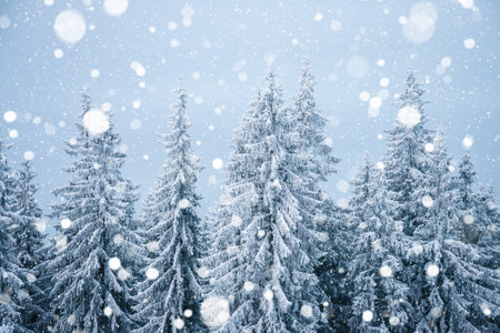 Frozen fabulous spruces on a frosty day. Location Carpathian mountain, Ukraine, Europe. Alpine ski resort. Breathtaking wallpaper. Winter greeting card. Happy New Year! Discover the beauty of world.の写真素材