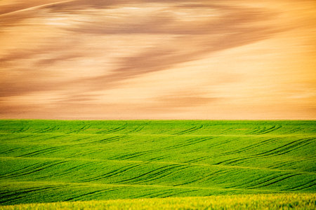 Idyllic sunlight on the wavy fields of agricultural area. Location place of South Moravia region, Czech Republic, Europe. Minimalistic landscape of agrarian industry. Discover the beauty of world.の写真素材