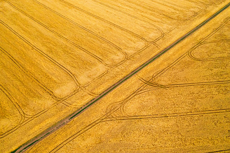 Breathtaking top view of agricultural area and cultivated fields in sunny day. Location place of...