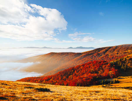 Breathtaking morning moment in alpine foggy valley. Location place of Carpathian mountains, Ukraine, Europe. Photo of nature. Perfect natural wallpaper background. Explore the beauty of earth.の写真素材
