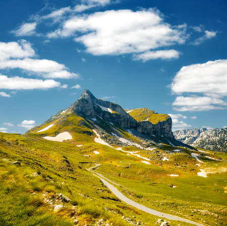 Breathtaking summer scene in the Durmitor National park. Location place Sedlena Greda, village Zabljak, Montenegro, Balkans, Europe. Perfect summertime wallpaper. Discover the beauty of earth.の写真素材