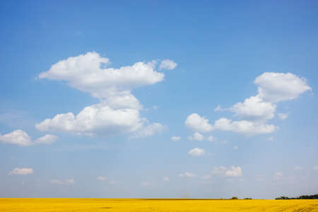 Blue sky background with white fluffy clouds in the fresh sunny day. Template textured sky background. Ecology concept - climate change in the environment. Stunning wallpaper. Concept of the ecology.の写真素材