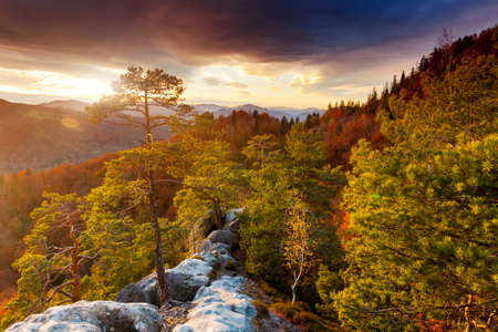 Breathtaking sunrise in forested mountain slope. Location place Carpathian national park, Ukraine, Europe. Image of splendid autumn scene. Vibrant photo wallpapers. Discover the beauty of earth.の写真素材