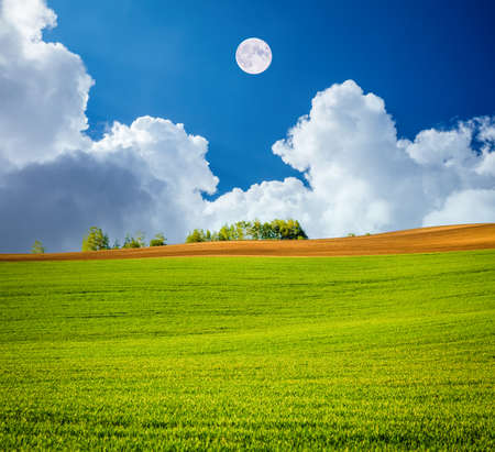 Morning sunlight on the wavy fields and cultivated land of agricultural area. Location place South Moravia region, Czech Republic, Europe. Concept of agrarian industry. Discover the beauty of world.の写真素材