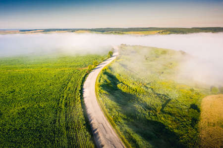 Aerial top view of rural road passing through agricultural land and green fields. Location place of Ukraine, Europe. Drone photography. Concept of agrarian industry. Discover the beauty of world.の写真素材