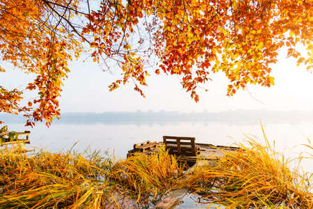 Perfect morning view through the autumn forest to the lake. Location place Ternopil, Ukraine, Europe. Fresh vibrant colors. Natural wallpapers. Photo of autumn day. Discover the beauty of earth.の写真素材