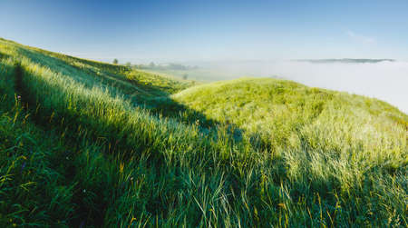 Fantastic day with green hills and cultivated fields. Picturesque summer scene. Artistic wallpaper. Location place country of Ukraine, Europe. Most beautiful wallpaper. Discover the beauty of world.の写真素材