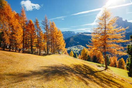 Splendid autumn landscape in Val Gardena. Location National Park Dolomiti, Trentino Alto Adige, province of Bolzano, Italy, Europe. Scenic image of tourist attraction. Discover the beauty of earth.の写真素材