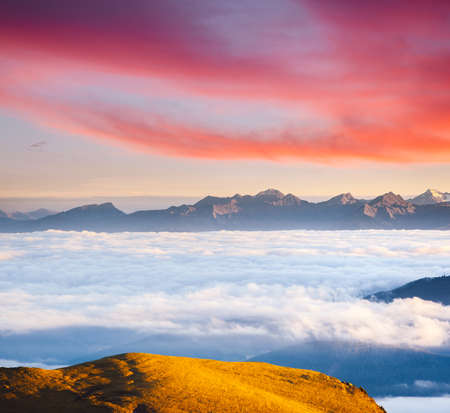 Morning view of the alpine valley in fog. Location place National Park Val Gardena, Seceda peak, Dolomiti, Tyrol, Italy, Europe. Landmark Val di Funes. Drone photography. Discover the beauty of earth.の写真素材