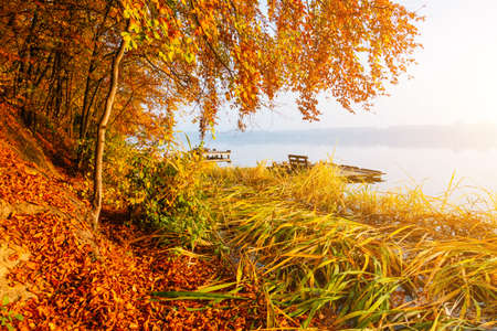 Picturesque morning view through the autumn forest to the lake. Location place Ternopil, Ukraine, Europe. Fresh vibrant colors. Natural wallpapers. Photo of autumn day. Discover the beauty of earth.の写真素材