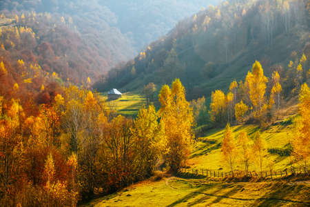 Incredible autumn landscape in sunny day. Location place of Carpathian mountains, Ukraine, Europe. Picturesque wallpaper. Artistic style photo. Fresh vibrant colors. Discover the beauty of earth.の写真素材