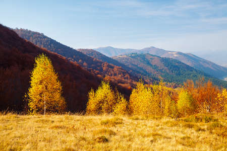 Incredible autumn landscape in sunny day. Location place of Carpathian mountains, Ukraine, Europe. Picturesque wallpaper. Artistic style photo. Fresh vibrant colors. Discover the beauty of earth.の写真素材