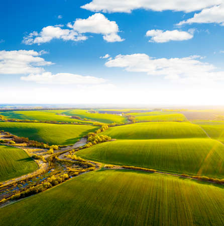 Abstraction agricultural area, green wavy fields in sunny day. Aerial photography, top view drone shot. Location place of Ukrainian agrarian region, Europe. Photo of ecology concept. Beauty of earth.の写真素材