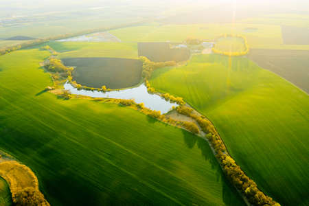 Fantastic aerial photography of green wavy field in sunny day. Top view drone shot. Agricultural area of Ukraine, Europe. Concept photo of agrarian industry. Artistic wallpaper. Beauty of earth.の写真素材