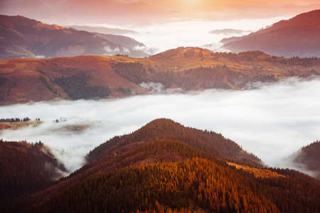 Idyllic summer sunset over a misty valley from a bird's eye view. Location place of Carpathian mountains, Ukraine, Europe. Vibrant photo wallpaper. Nature photography. Discover the beauty of earth.の写真素材