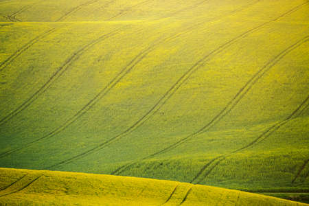 Peaceful view on sunlit wavy fields of agricultural area. Location of South Moravia region, Czech...