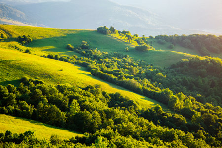 Charming mountain landscape on a tranquil sunny day. Location place of Carpathian mountains, Ukraine, Europe. Photo of nature concept. Perfect summertime wallpaper. Discover the beauty of earth.の写真素材