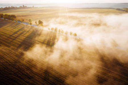 Splendid view from a drone flying over the morning agricultural land. Location place of Ukraine, Europe. Vibrant photo wallpaper. Picturesque nature photography. Discover the beauty of earth.の写真素材