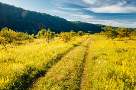 Tranquil green meadow in the Dniester canyon on sunny day. Location place Dnister river of Ukraine, Europe. Vibrant photo wallpaper. Picturesque nature photography. Discover the beauty of earth.の写真素材