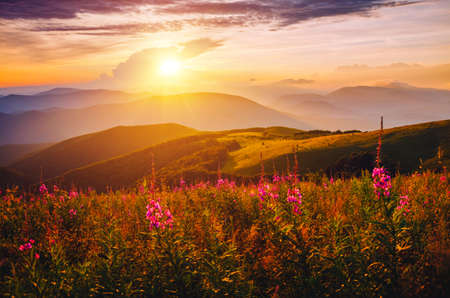 Attractive evening landscape illuminated by the sunset. Location place of Carpathian mountains, Ukraine, Europe. Image of exotic summer scene. Artistic wallpaper. Discover the beauty of earth.の写真素材