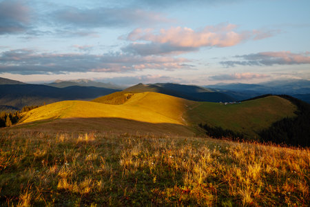 Idyllic sunny day in autumn mountains. Location place of Carpathian mountains, Ukraine, Europe. Perfect wallpaper. Art photo of nature. Fresh vibrant colors. Discover the beauty of earth.の写真素材