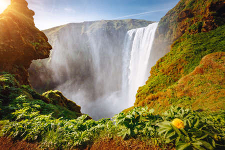 Impressive view of powerful stream of the famous Skogafoss waterfall. Location place Skoga river, Iceland, Europe. Photo of popular tourist attraction of the world. Discover the beauty of earth.の写真素材