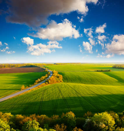 Scenic aerial photography of rural road passing through agricultural land and green fields. Top view drone shot. Agricultural area of Ukraine, Europe. Concept of agrarian industry. Beauty of earth.の写真素材