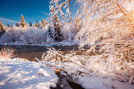 Splendid image of a mountain river after a heavy snowfall on a frosty day. Carpathian mountains, Ukraine, Europe. Exotic wallpapers. Fabulous photo of Happy New Year. Discover the beauty of earth.の写真素材