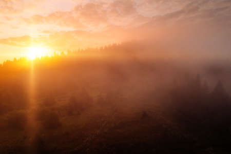 Bright thick fog covers the mountains in the rays of morning light. Location place Carpathian mountains, Ukraine, Europe. Aerial photography. Perfect photo wallpaper. Discover the beauty of earth.の写真素材