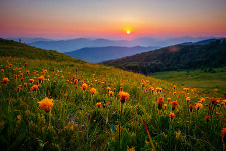 Fantastic view of the sunset over the mountain ranges. Location place Carpathian mountains, Ukraine, Europe. Photo wallpaper. Image of an magical sunset. Summer vacation. Discover the beauty of earth.の写真素材