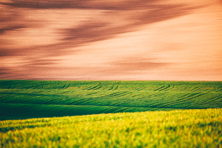 Picturesque wavy fields in agricultural area on a sunny day. Location place South Moravia region, Czech Republic, Europe. artistic wallpaper. Abstract natural pattern. Discover the beauty of earth.の写真素材