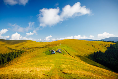 Summer view of the pasture in the morning sunlight. Location place of Carpathian mountains, Ukraine, Europe. Vibrant photo wallpaper. Splendid nature photography. Discover the beauty of earth.の写真素材