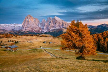 Gorgeous morning scene in Compaccio village and bright larches. Location place Dolomiti alps, Seiser Alm or Alpe di Siusi, South Tyrol, Italy, Europe. photo wallpaper. Discover the beauty of earth.の写真素材
