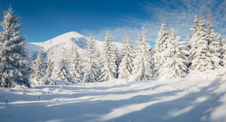 Magic snow-covered spruces on a frosty day. Carpathian mountains, Ukraine, Europe. picturesque wallpapers. Fabulous photo of winter vacation. Happy New Year celebration concept. beauty of earth.の写真素材