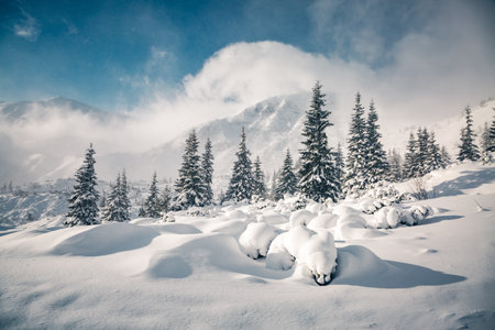 Fabulous view of snow-capped mountains on frosty day. Location place Carpathian mountains, Ukraine, Europe. Photo of winter vacation. Happy New Year celebration concept. Discover the beauty of earth.の写真素材