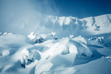 Snow wavy surface created by a wind on the frozen slope. Forms of snow relief, covered ground texture. picturesque wallpapers. Location place Carpathian mountains, Ukraine, Europe. beauty of the world.の写真素材