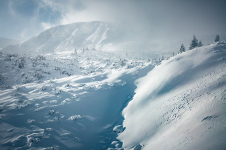 Snow wavy surface created by a wind on the frozen slope. Forms of snow relief, covered ground texture. picturesque wallpapers. Location place Carpathian mountains, Ukraine, Europe. beauty of the world.の写真素材
