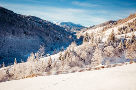 Fabulous image of snow-capped mountains after a heavy snowfall on frosty day. Carpathian mountains, Ukraine, Europe. Photo of winter vacation. Happy New Year wallpaper. Discover the beauty of earth.の写真素材