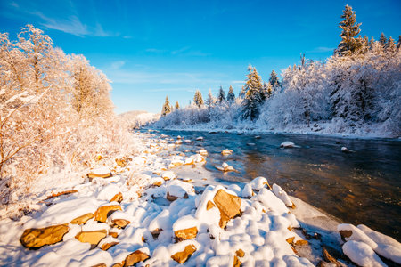 Breathtaking image of a mountain river in the evening light. Carpathian mountains, Ukraine, Europe. Exotic wallpapers. Fabulous photo of Happy New Year. Splendid christmas scene. Beauty of earth.の写真素材