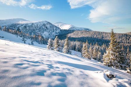 Fabulous view of snow-capped mountains on frosty day. Location place Carpathian mountains, Ukraine,...