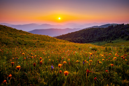 Morning sunlight illuminates the mountain ranges. Location place Carpathian mountains, Ukraine, Europe. Vibrant wallpaper. Image of an magical sunset. Summer vacation. Discover the beauty of earth.の写真素材