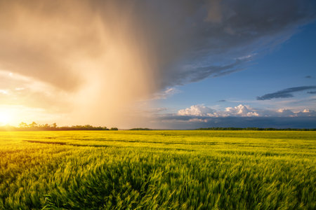 Spectacular storm clouds over the agricultural land in the evening. Agrarian region of Ukraine, Europe. force of nature. picturesque photo wallpaper. Concept of agrarian industry. beauty of earth.の写真素材