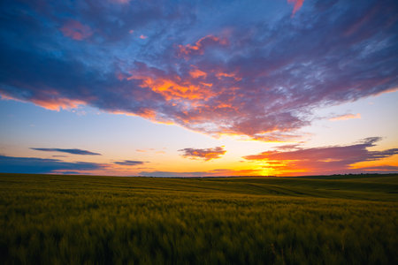 Dramatic sunset over the agricultural land in the evening. Agrarian region of Ukraine, Europe. force of nature. picturesque photo wallpaper. Concept of agrarian industry. beauty of earth.の写真素材