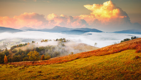 Stunning evening landscape in the mountains illuminated by the sun. Location place Carpathian mountains, Ukraine, Europe. Gorgeous wallpaper. Image of an magical sunset. Discover the beauty of earth.の写真素材