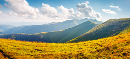 Attractive summer day with green hills illuminated by the sun. Location place Carpathian mountains, Ukraine, Europe. Vibrant photo wallpaper. Inspiring natural landscape. Discover the beauty of the world.の写真素材