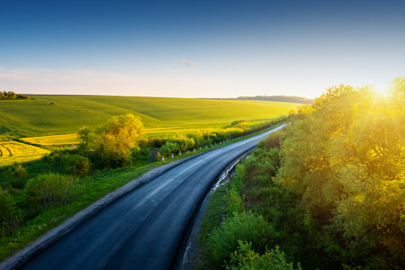 Country road passes through endless plains and fields. Location place agrarian region of Ukraine, Europe. Aerial photography, drone shot. Image from a bird's eye view. Discover the beauty of earth.の写真素材